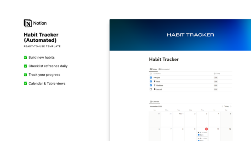 Featured image of Automated Notion template habit tracker by Matt Hamilton